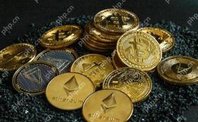 什么是“Memecoin“和“山寨币“?它们和主流币有什么区别? - php中文网