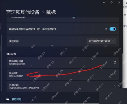 Win11鼠标设置中其他鼠标设置入口
