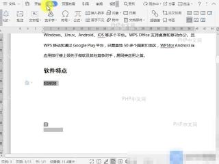 Word如何重置文档窗体域？入口位置