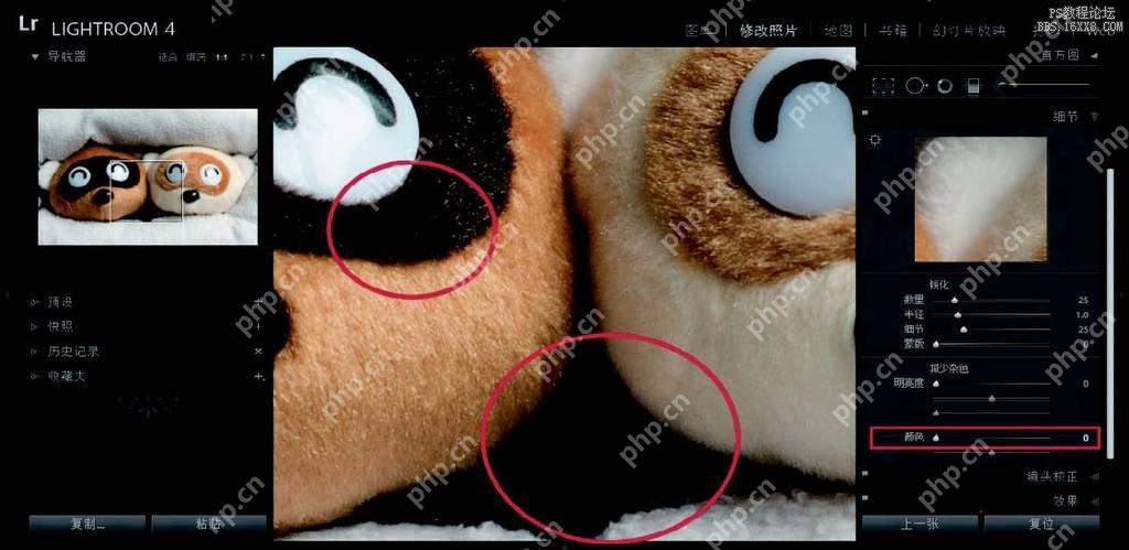 中文 Lightroom 中放大细节并查看面板控制