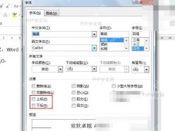 Word字体窗口勾选上标下标