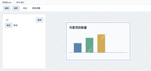 模拟 WPS图片编辑模式中用裁剪框保留项目图表