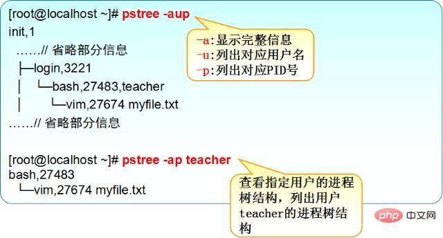 리눅스 프로세스를 확인하는 방법