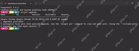Win11 PowerShell 运行 winget upgrade 后提示多个包被 pin 阻止升级