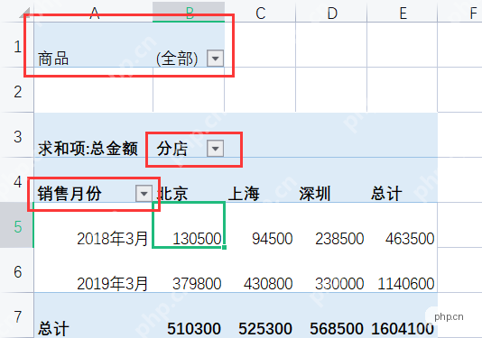 WPS数据透视表按销售月份和分店汇总总金额