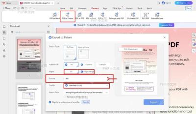 WPS Export to Picture 窗口中页码、JPG 格式和质量选项被标出