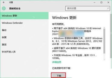 Microsoft Update Catalog 下载页面点击对应离线更新包链接