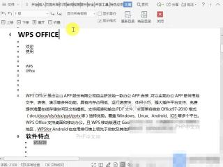 Word在文档大纲视图中如何显示对应项目级别的内容?入口位置