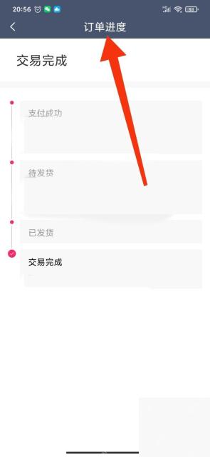 大麦app怎么查看订单支付状态步骤图3