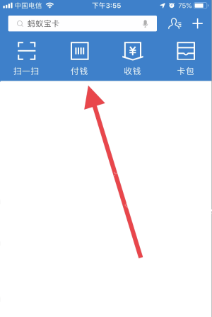 支付宝首页上方的付钱入口,进入调整付款码亮度前的第一步