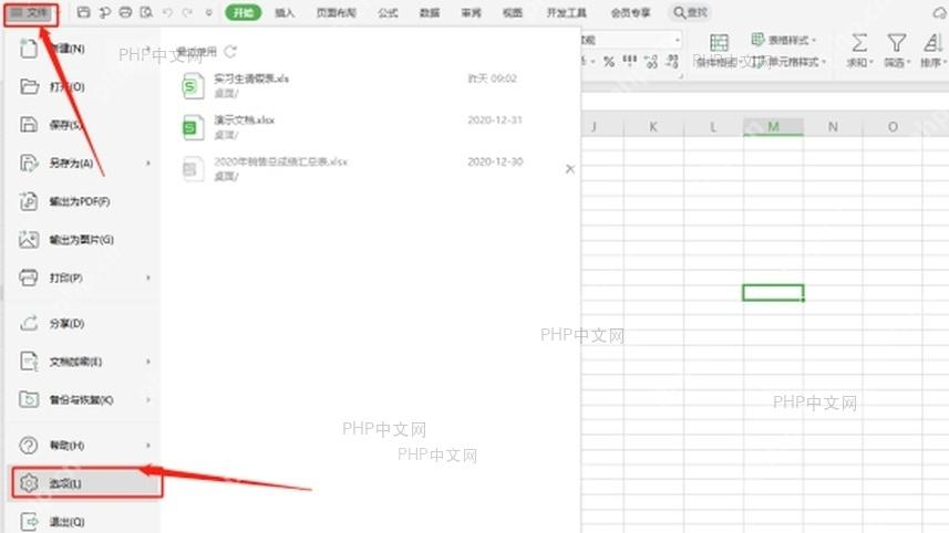 WPS 表格左上角文件菜单和安全入口,服务于打开密码设置步骤