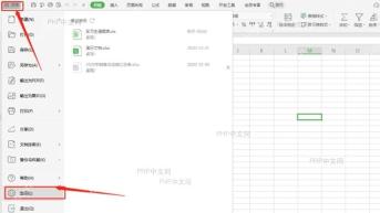 WPS 表格左上角文件菜单和安全入口，服务于打开密码设置步骤