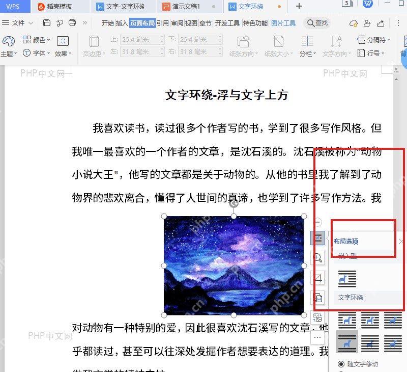 WPS 文字图片布局选项面板显示嵌入型和文字环绕样式