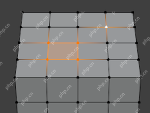 Blender 5.2 Edit Mode 顶点选择示例显示橙色选中顶点和黑色未选顶点