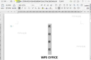 WPS如何设置文档内容排序？中间操作