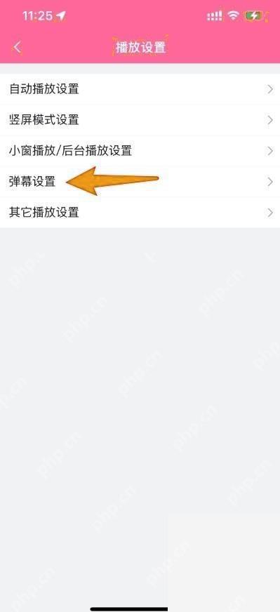 B站播放设置页面中的弹幕设置入口