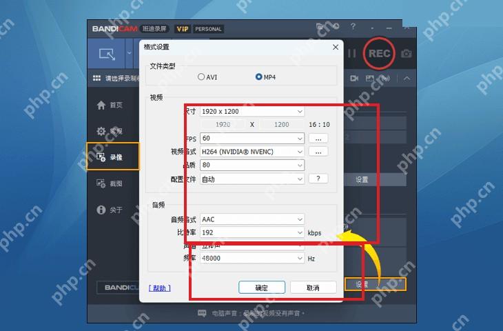Bandicam 格式设置窗口高亮视频编码器和质量参数