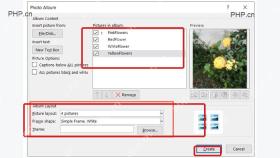 PowerPoint 相册窗口中图片列表图片版式和 Create 按钮服务于第二步导入多张图片