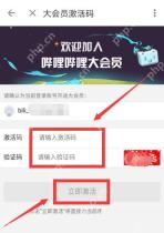 哔哩哔哩大会员激活码输入页