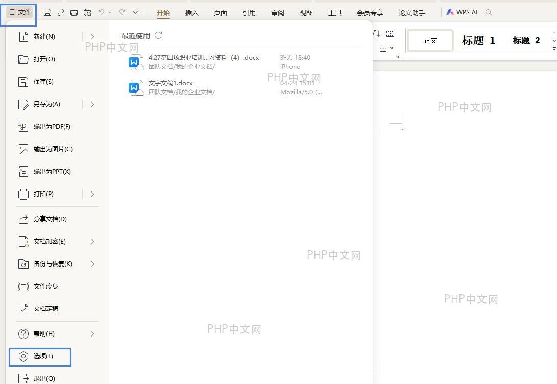 点击 '文件' 菜单并选择 '选项'