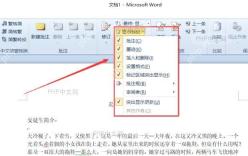 在 Word 显示标记菜单中选择修订类型