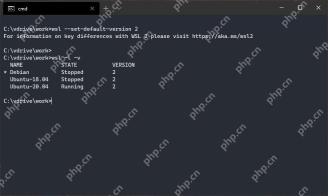 PowerShell 中通过 wsl list verbose 查看多套 WSL 发行版