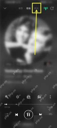 QQ音乐歌词页翻译入口