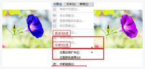 CorelDRAW 位图菜单中更新或中断链接位图的命令