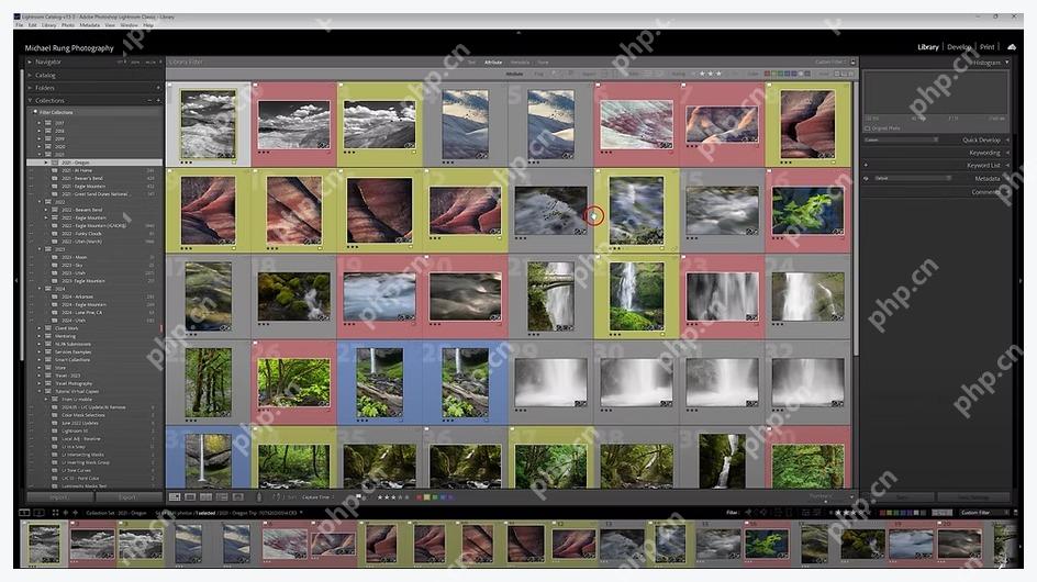 Lightroom Classic 网格视图中多张照片带红黄蓝颜色标签
