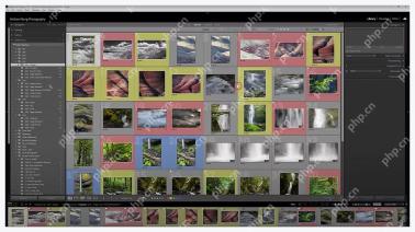 Lightroom Classic 网格视图中多张照片带红黄蓝颜色标签