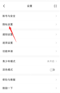 小红书设置页用红色箭头标出隐私设置入口，证明进入隐私管理页面的步骤