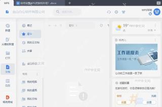 WPS如何设置WPS皮肤和外观?结果检查