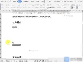 Word如何保护文档窗体?设置效果
