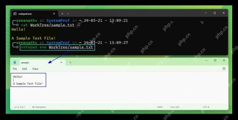 WSL 终端运行 notepad.exe 后打开 Windows 记事本