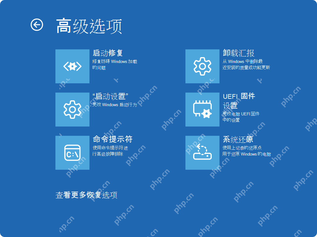 Windows 恢复环境高级选项页面