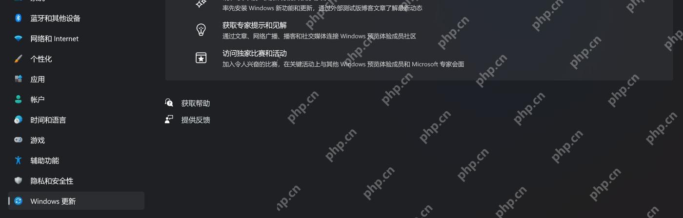 Win11 预览体验计划页面中查看停止接收预览版本入口