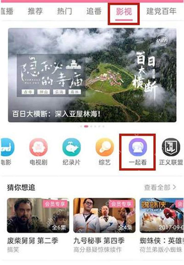 哔哩哔哩影视频道,显示一起看功能入口