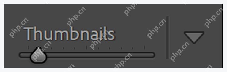Lightroom Classic 工具栏中的颜色标签色块