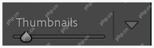 Lightroom Classic 工具栏中的颜色标签色块