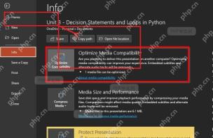 PowerPoint 文件信息页中的优化媒体兼容性按钮，用于修复视频播放兼容问题