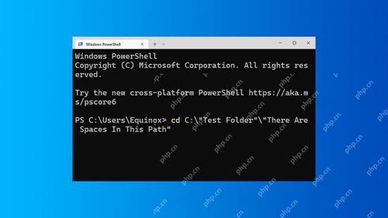 Windows PowerShell 使用引号成功切换到包含多个空格的路径