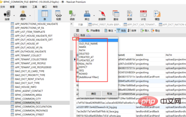 How to filter and query a certain field in Navicat database