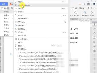 Word文件菜单中的本机模板入口