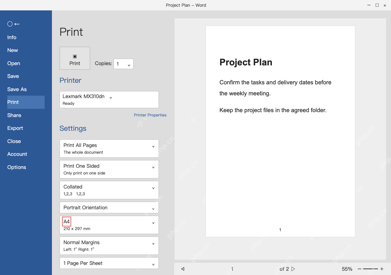 模拟 Microsoft Word:检查纸型、方向和页边距