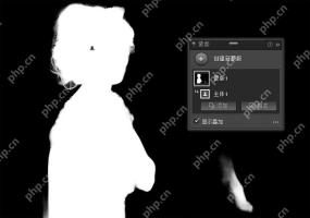 人像区域建立蒙版后的黑白范围预览