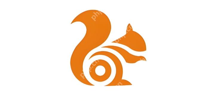 uc浏览器高清视频免费大片 uc浏览器在线观看国产视频 - php中文网