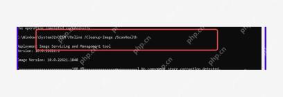 管理员终端执行 DISM ScanHealth 命令