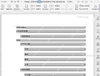 WPS如何自定义目录?结果检查