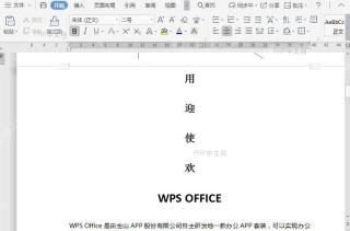 WPS如何显示/隐藏段落标记？入口位置