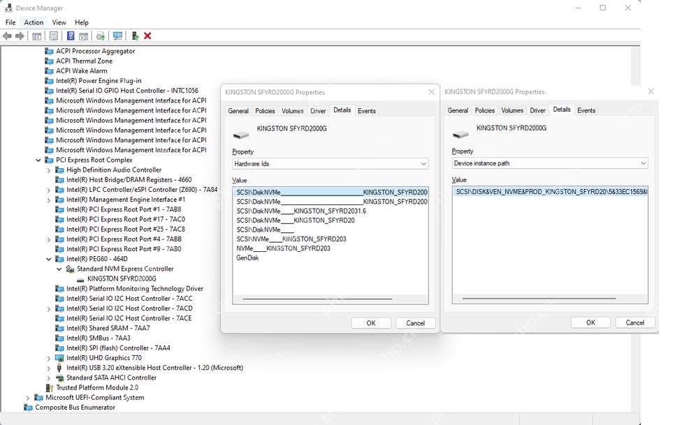 Windows 11 设备管理器按连接显示标准 NVM Express 控制器及其下属 NVMe SSD